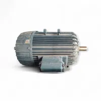 Imagem do produto Motor Elétrico 300 Cv 4 Polos 380 V BÚFALO